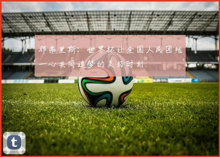邓弗里斯：世界杯让全国人民团结一心共同追梦的美好时刻