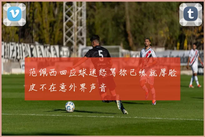范佩西回应球迷怒骂称已练就厚脸皮不在意外界声音